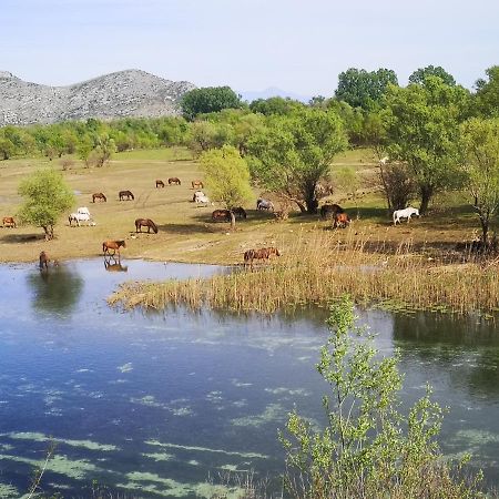 Wild Beauty House Skadar Lake Cetinje Kültér fotó