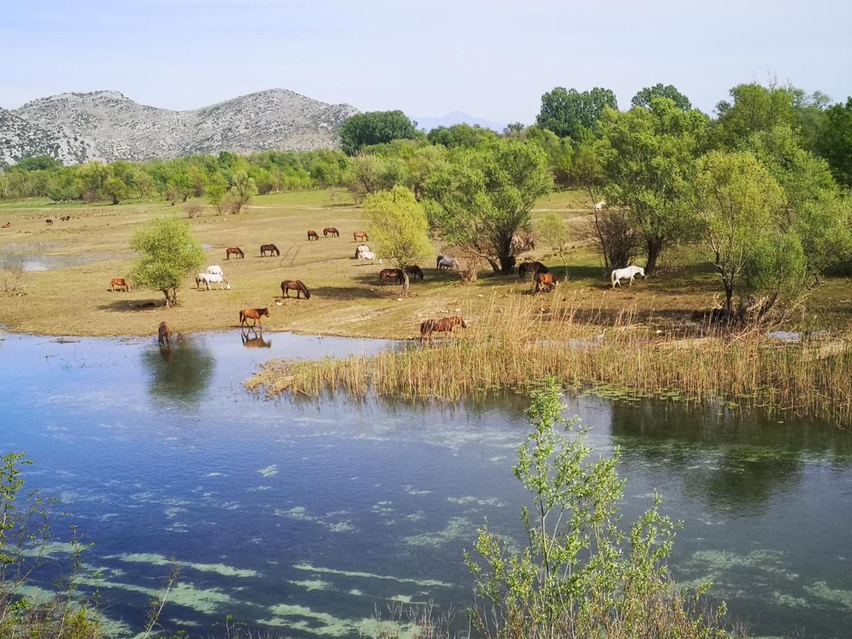 Wild Beauty House Skadar Lake Cetinje Kültér fotó